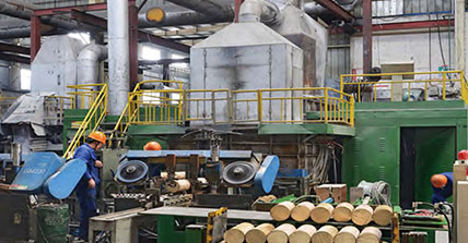 1250T Extruder Special Melting Casting Furnace